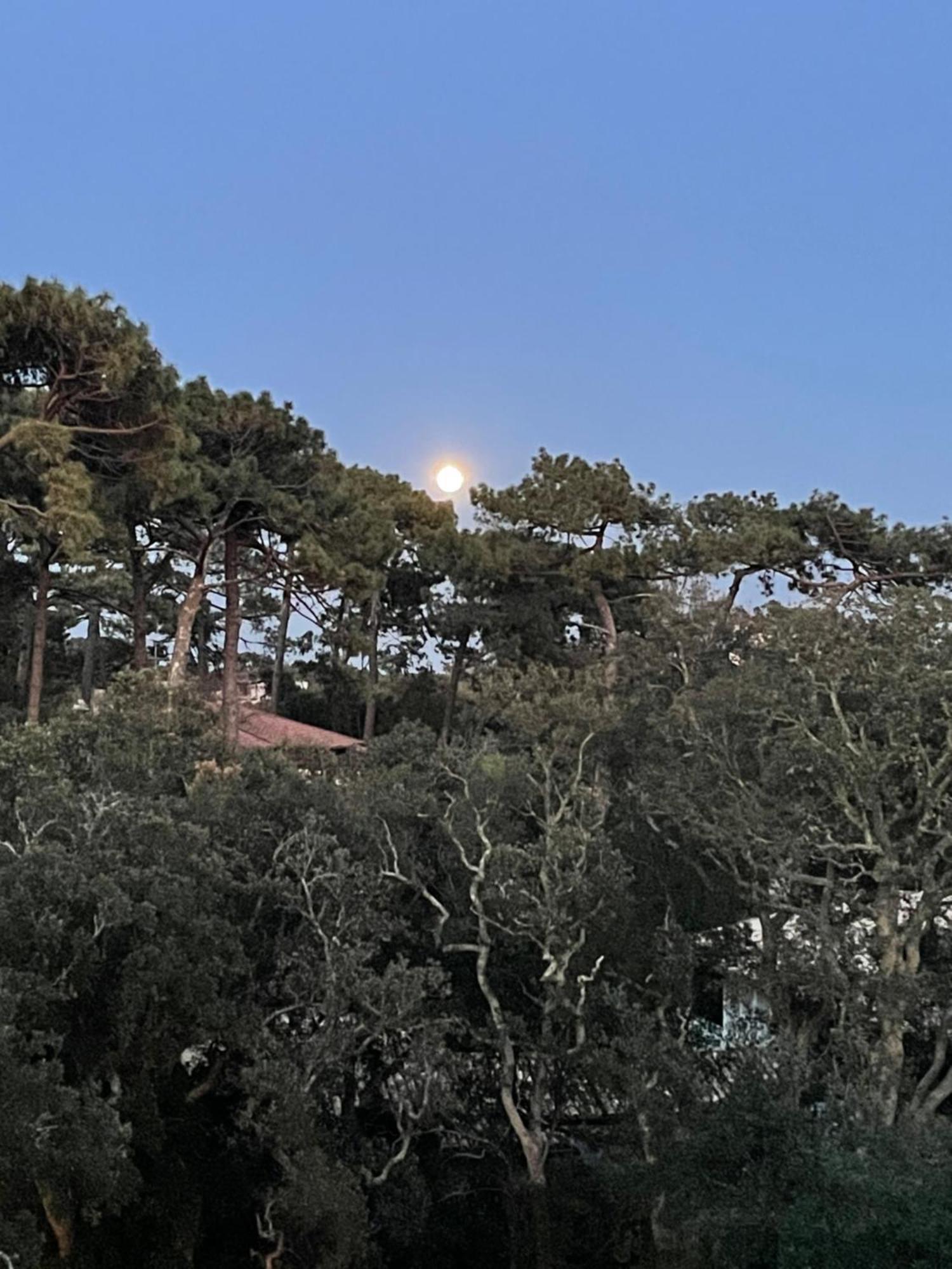 Tao Appartement Soorts-Hossegor Buitenkant foto